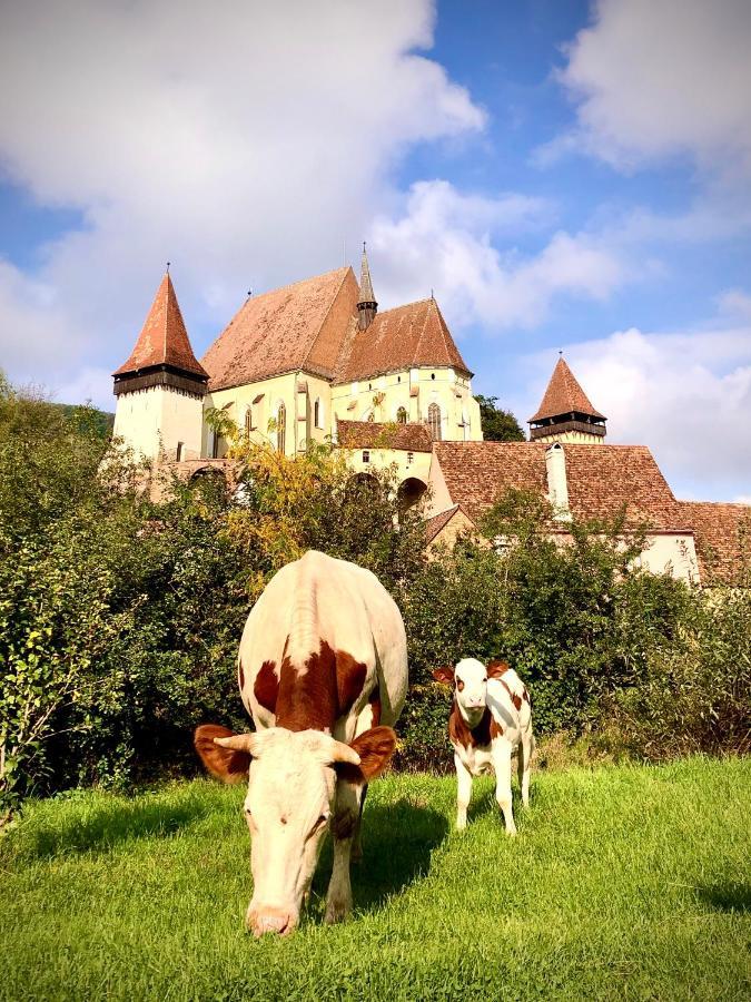 Casa Eva Wagner - Biertan Hotel Kültér fotó